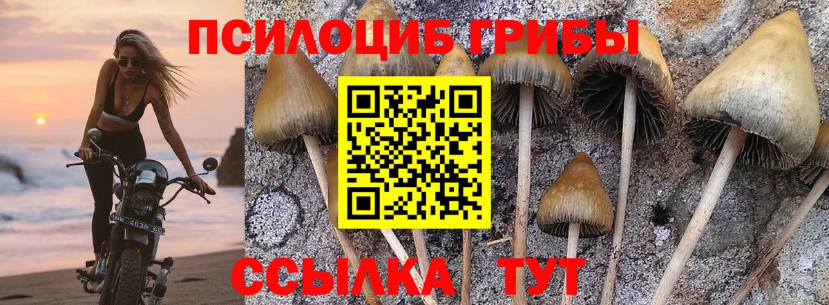Галлюциногенные грибы мухоморы  как найти закладки  Севастополь  Вход с VPN 
